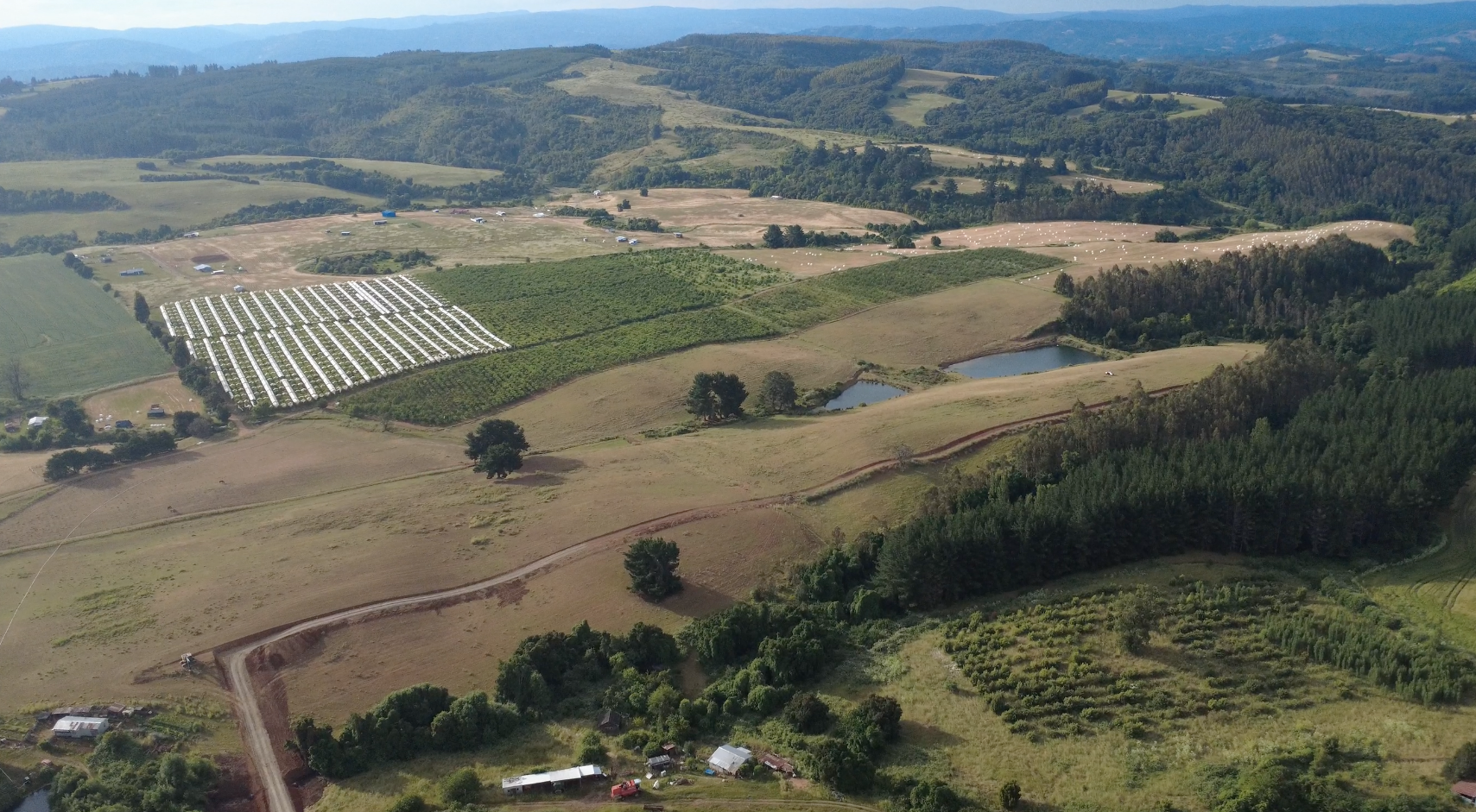 Captura de pantalla 2026-01-15 a la(s) 10.42.11 p.m.